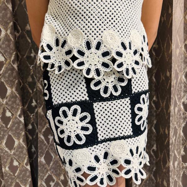 Sheer Crochet Skirt Set